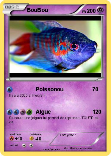 Pokemon BouBou
