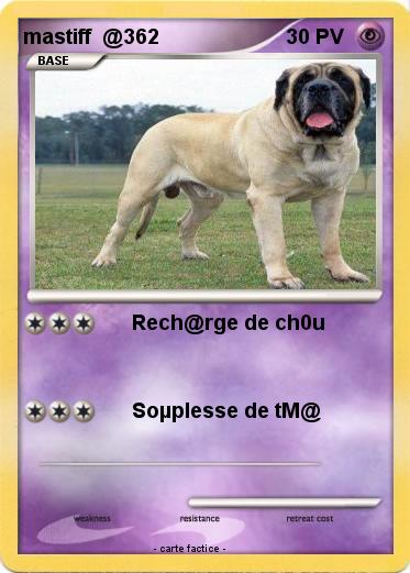 Pokemon mastiff  @362