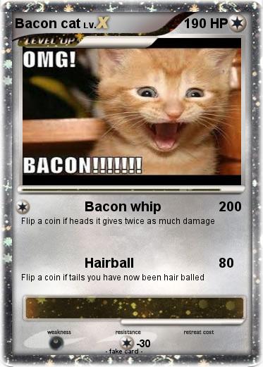 Pokemon Bacon cat