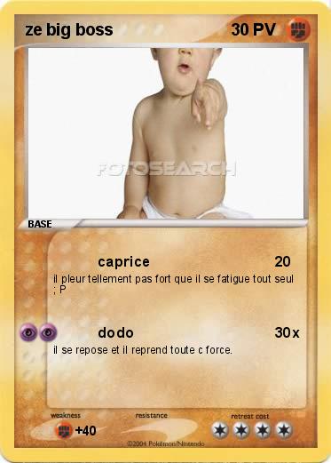 Pokemon ze big boss