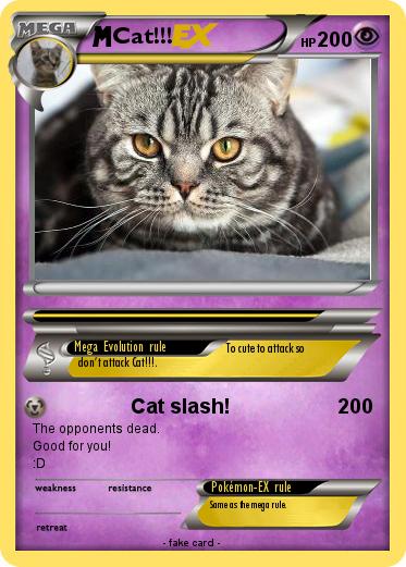 Pokemon Cat!!!