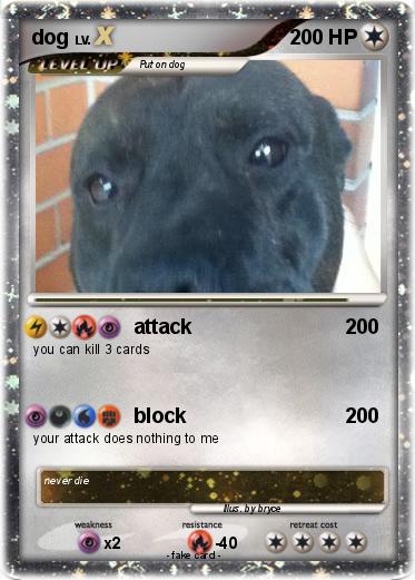 Pokemon dog