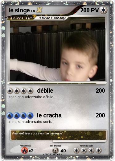 Pokemon le singe