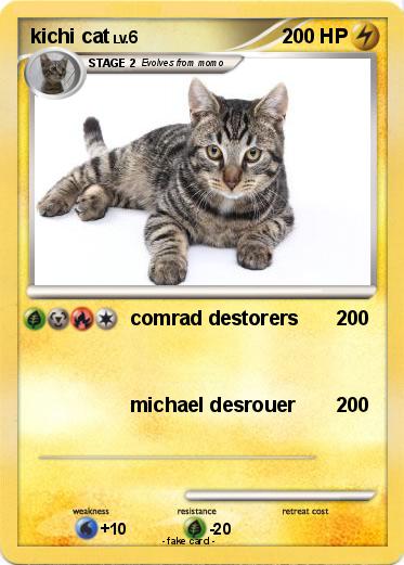 Pokemon kichi cat
