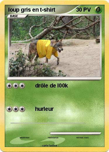 Pokemon loup gris en t-shirt