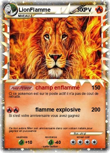 Pokemon LionFlamme                     0
