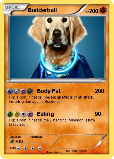 Pokemon Budderball