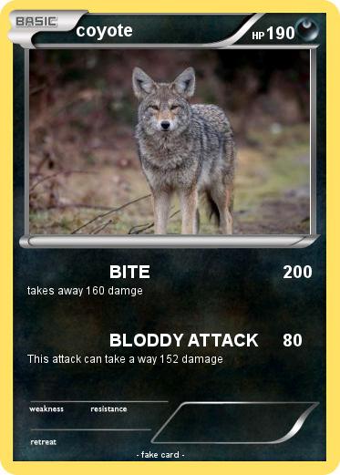 Pokemon coyote