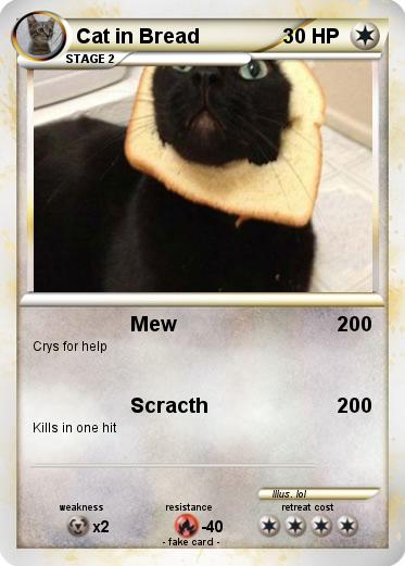 Pokemon Cat in Bread