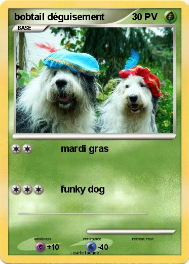 Pokemon bobtail déguisement