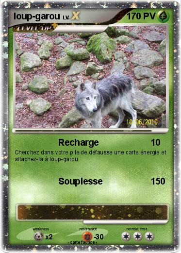 Pokemon loup-garou