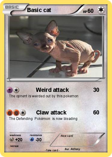 Pokemon Basic cat