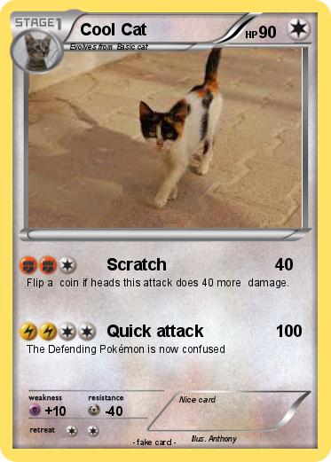 Pokemon Cool Cat