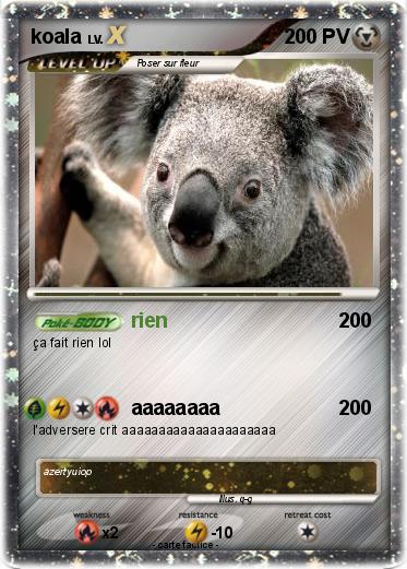 Pokemon koala