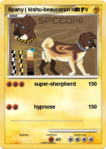 Pokemon Spany ( kishu-beauceron mix )