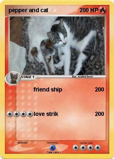 Pokemon pepper and cat