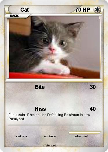 Pokemon Cat