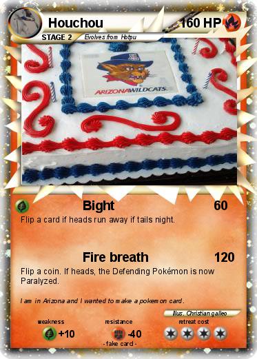 Pokemon Houchou