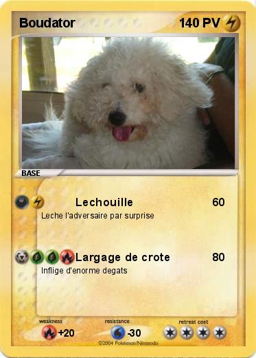 Pokemon Boudator