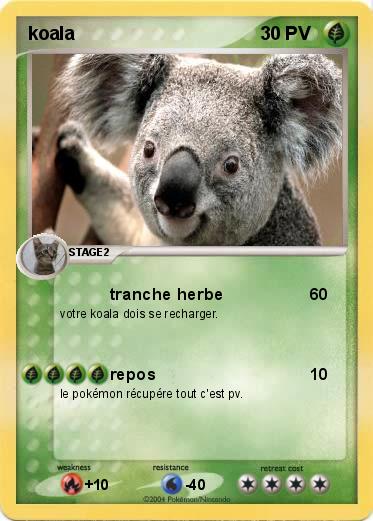 Pokemon koala 