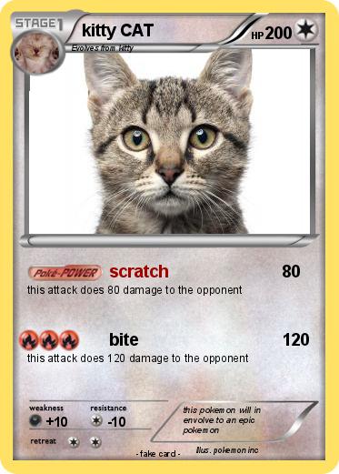 Pokemon kitty CAT