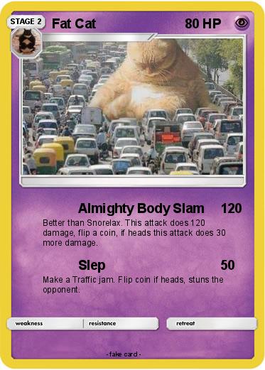 Pokemon Fat Cat