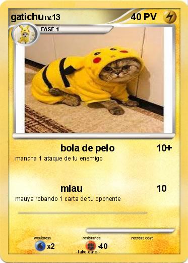 Pokemon gatichu