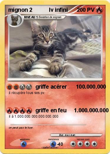Pokemon mignon 2           lv infini