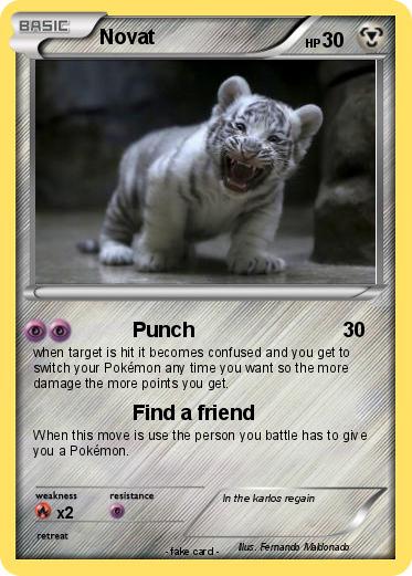 Pokemon Novat