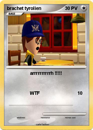 Pokemon brachet tyrolien