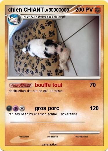 Pokemon chien CHIANT