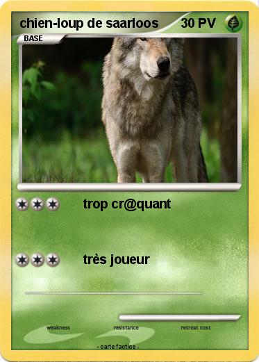 Pokemon chien-loup de saarloos