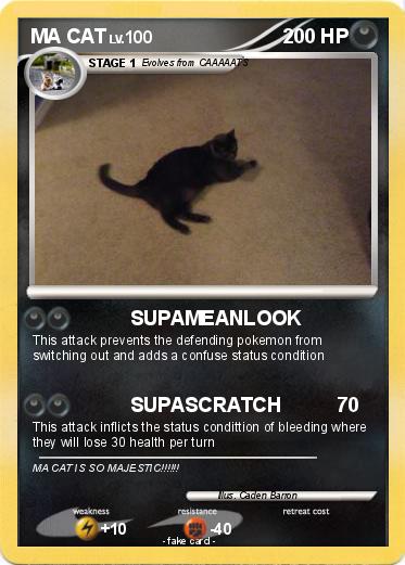Pokemon MA CAT