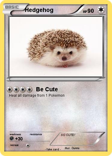 Pokemon Hedgehog