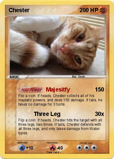 Pokemon Chester