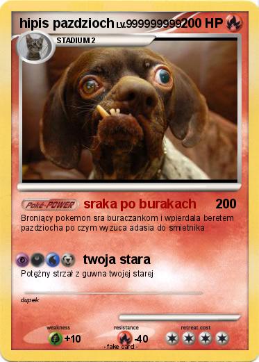 Pokemon hipis pazdzioch