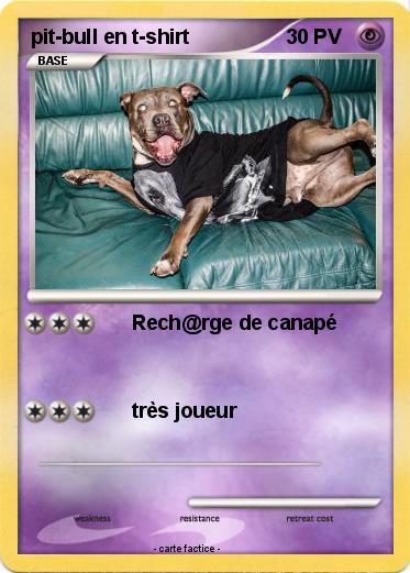 Pokemon pit-bull en t-shirt