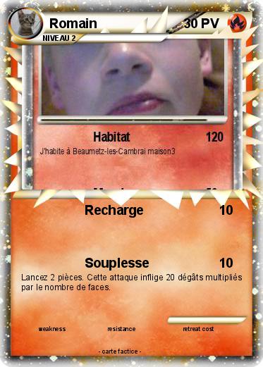 Pokemon Romain