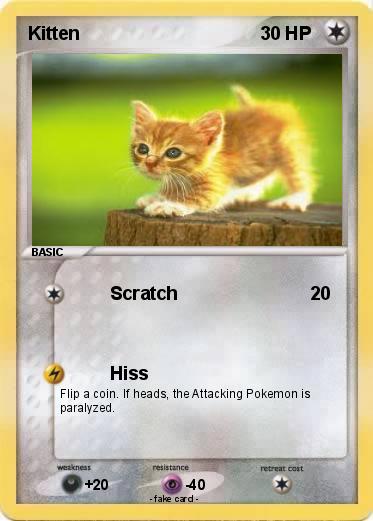 Pokemon Kitten
