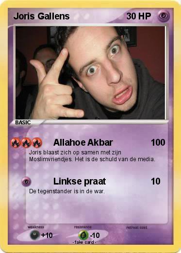 Pokemon Joris Gallens