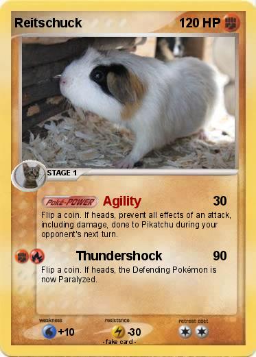 Pokemon Reitschuck
