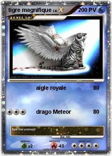 Pokemon tigre magnifique