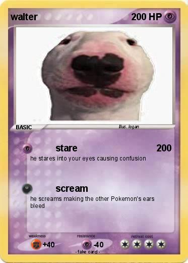 Pokemon walter