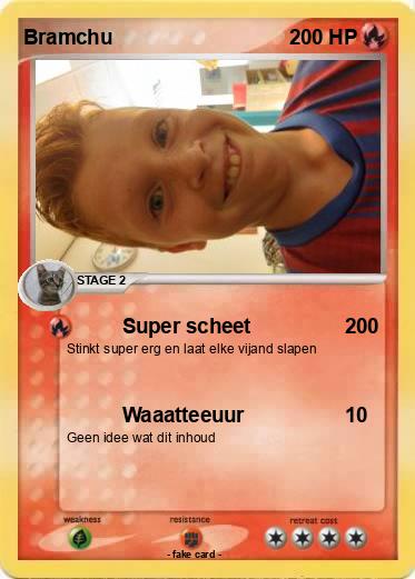 Pokemon Bramchu