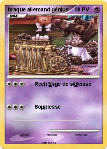 Pokemon braque allemand génius