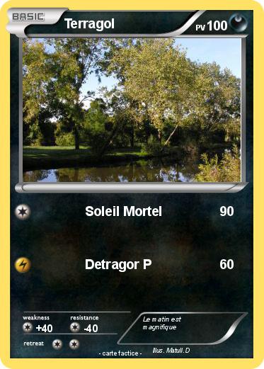 Pokemon Terragol