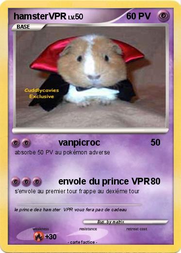 Pokemon hamsterVPR