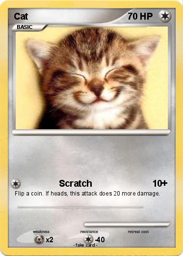 Pokemon Cat