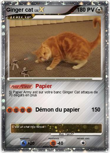 Pokemon Ginger cat
