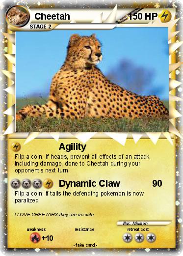 Pokemon Cheetah